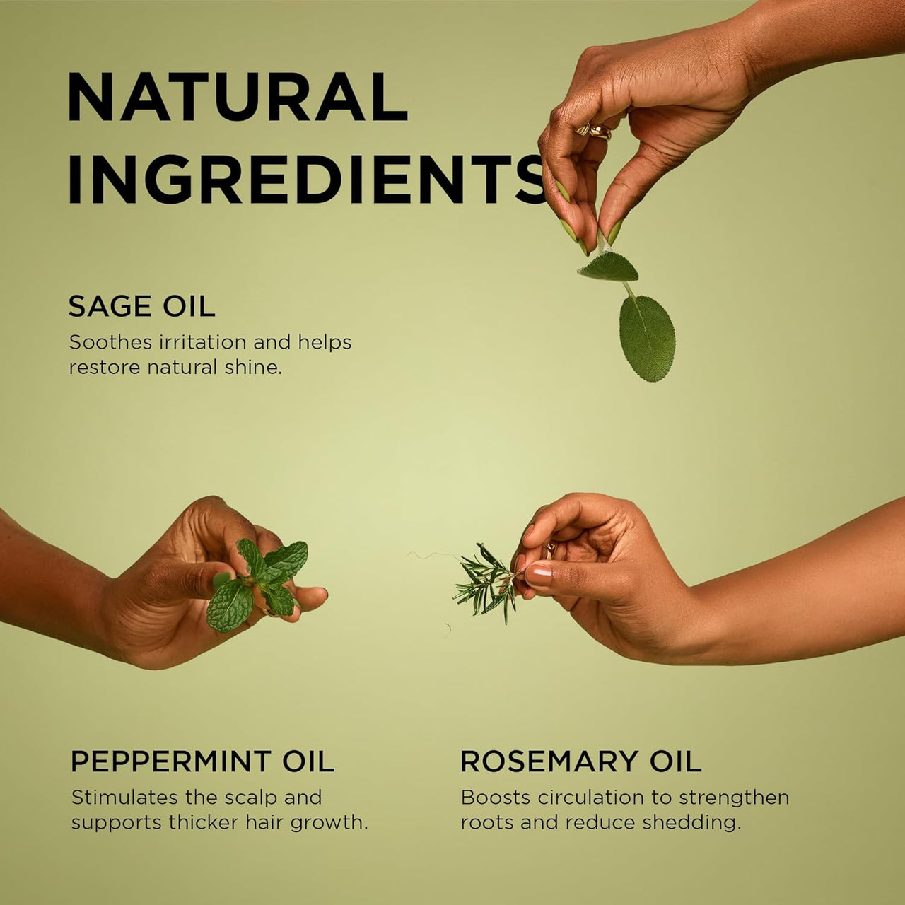 Two hands holding leaves with text about natural ingredients on a green background