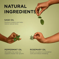 Thumbnail for Two hands holding leaves with text about natural ingredients on a green background