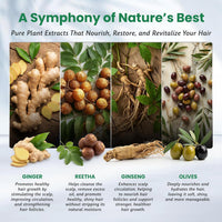 Thumbnail for BIOGREEN ROOTS Natural Black Hair Shampoo with Herbals -400mL