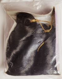 Thumbnail for Black hair extensions with a gold clip inside a clear plastic bag on a white background