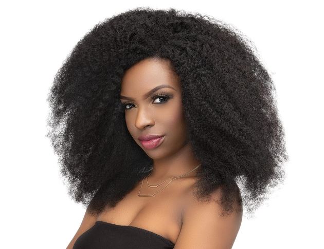 JANET COLLECTION NATURAL ME 4C KINKY CLIP INS 14"