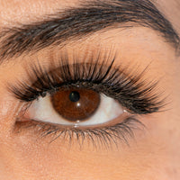 Thumbnail for Close-up of an eye with a Brazilian silk eyelashes, showcasing the lashes' length and thickness.