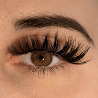 Thumbnail for RD BEAUTY 3D  Silk Lash- Marie Antoinette