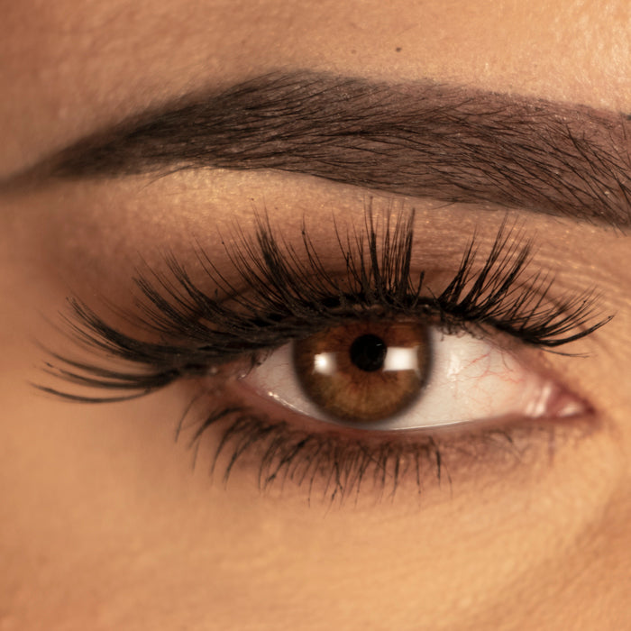 RD BEAUTY 3D  Silk Lash - The 6IX Lash